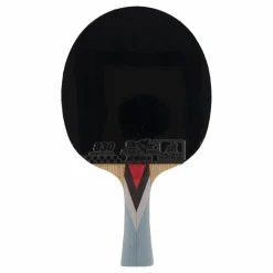 Double Fish 4a+ Table Tennis Racket* Racketsporter|Racket Och Bollar