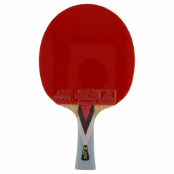 Double Fish 4a+ Table Tennis Racket* Racketsporter|Racket Och Bollar