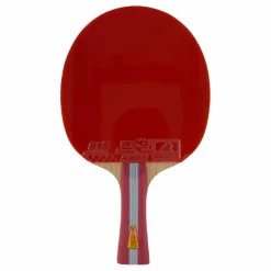 Double Fish 1a+ Table Tennis Racket* Racketsporter|Racket Och Bollar