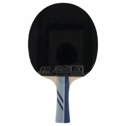Double Fish 3a+ Table Tennis Racket* Racketsporter|Racket Och Bollar