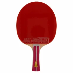 Double Fish 2a+ Table Tennis Racket* Racketsporter|Racket Och Bollar