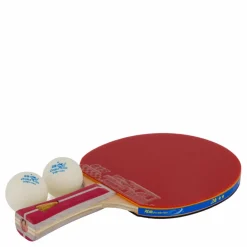Double Fish 2a+ Table Tennis Racket* Racketsporter|Racket Och Bollar