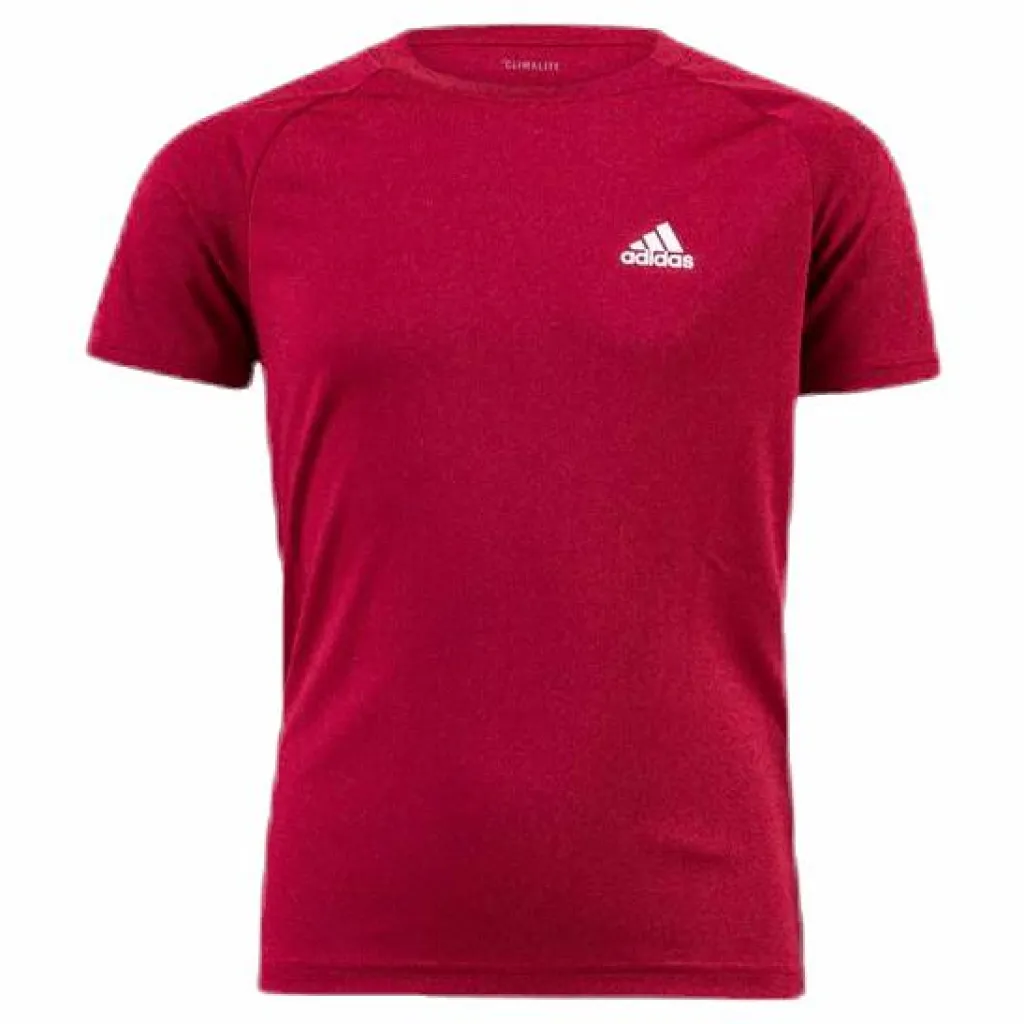 adidas B Club Tee Red* Racketsporter