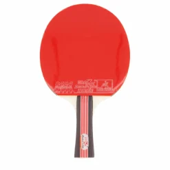 Double Fish 2d-c Table Tennis Racket* Racketsporter|Racket Och Bollar
