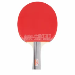 Double Fish Df-01 Table Tennis Racket* Racketsporter|Racket Och Bollar