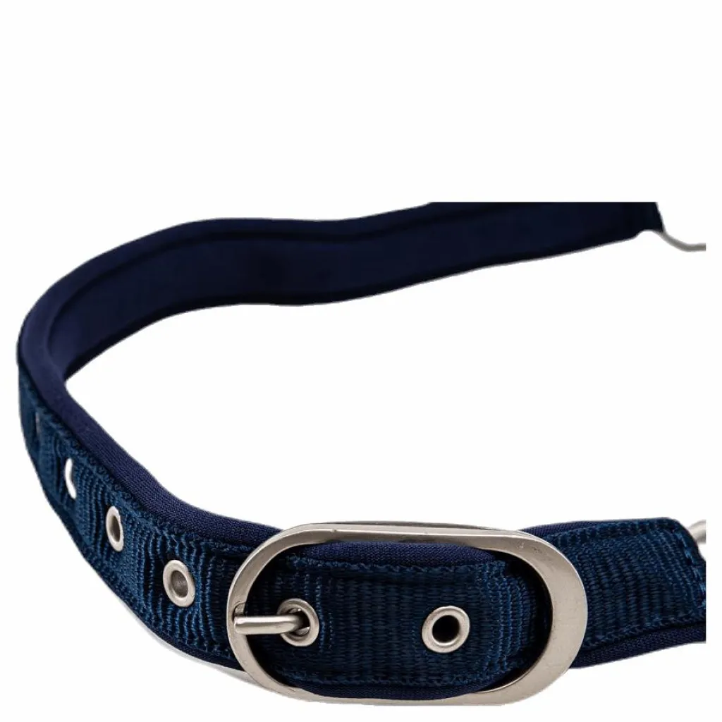 Catago Diamond Grimma Blue/White* Hästsport|Ridsport