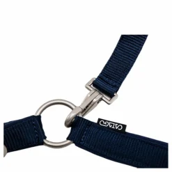 Catago Diamond Grimma Blue/White* Hästsport|Ridsport