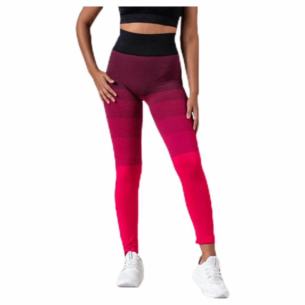 BLACC Gradient Seamless Tights Pink* Tights|Träning