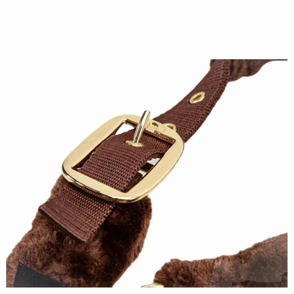 Jacson Manila Halter Brown* Hästsport|Ridsport