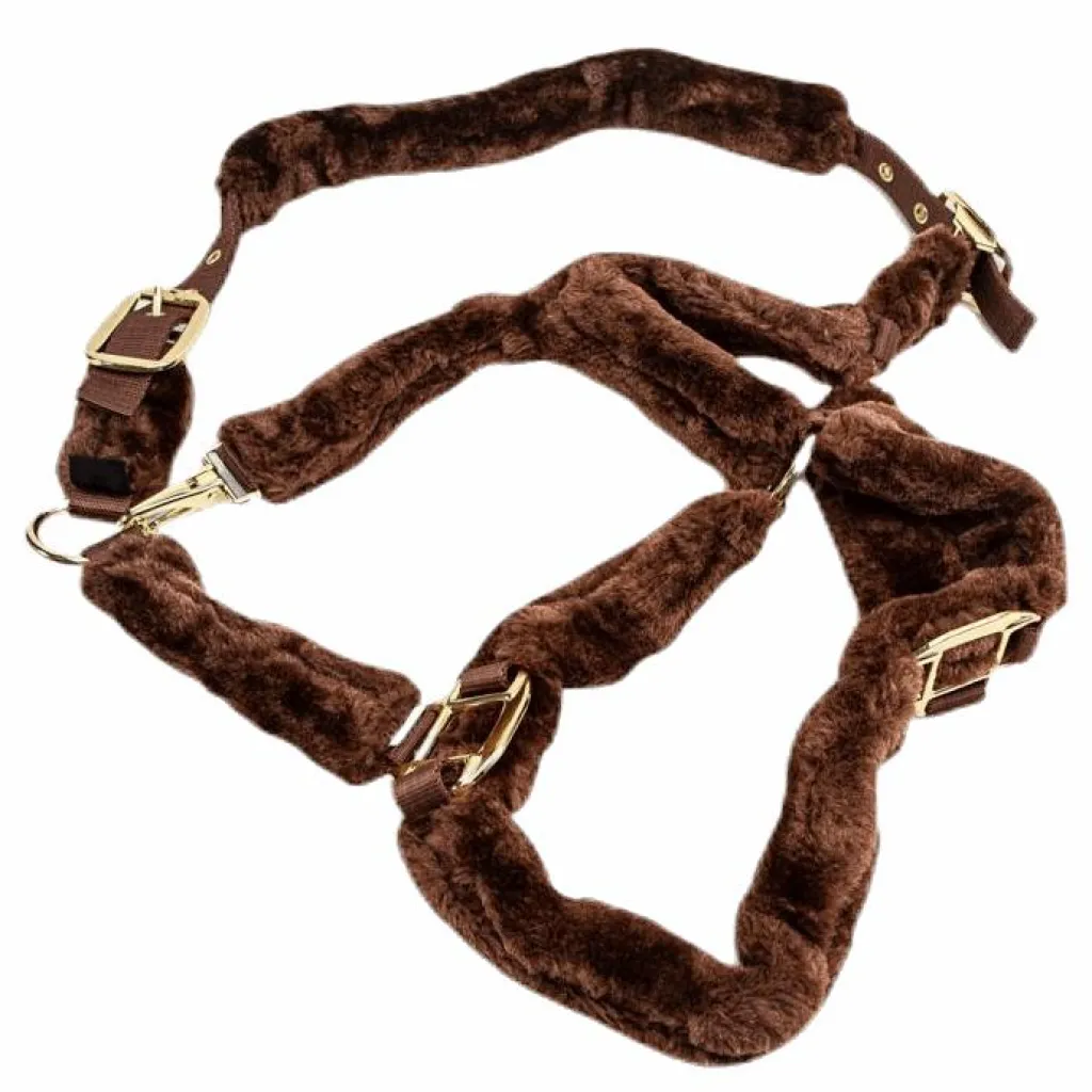 Jacson Manila Halter Brown* Hästsport|Ridsport