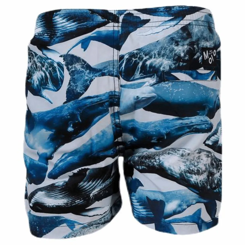 Molo Niko Swim Shorts Blue*Barn Simning|Badkläder
